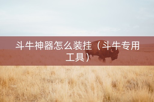 斗牛神器怎么装挂（斗牛专用工具）