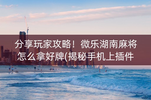 分享玩家攻略！微乐湖南麻将怎么拿好牌(揭秘手机上插件购买)