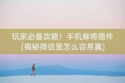 玩家必备攻略！手机麻将插件(揭秘微信里怎么容易赢)