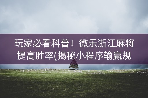 玩家必看科普！微乐浙江麻将提高胜率(揭秘小程序输赢规律)