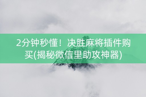 2分钟秒懂！决胜麻将插件购买(揭秘微信里助攻神器)
