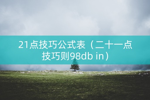 21点技巧公式表（二十一点技巧则98db in）