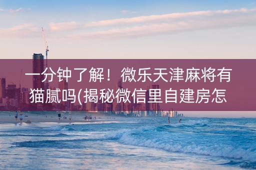一分钟了解！微乐天津麻将有猫腻吗(揭秘微信里自建房怎么赢)