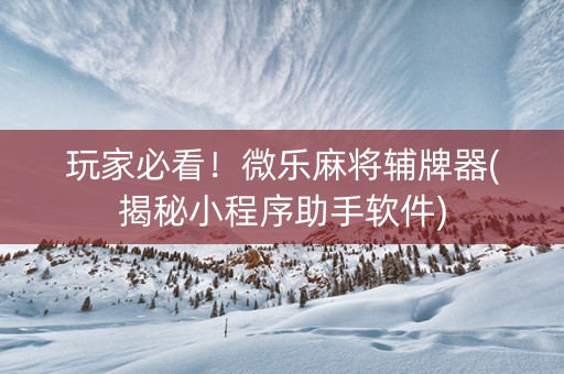 玩家必看！微乐麻将辅牌器(揭秘小程序助手软件)