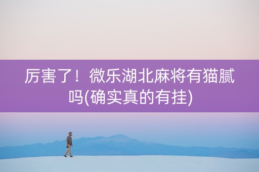 厉害了！微乐湖北麻将有猫腻吗(确实真的有挂)