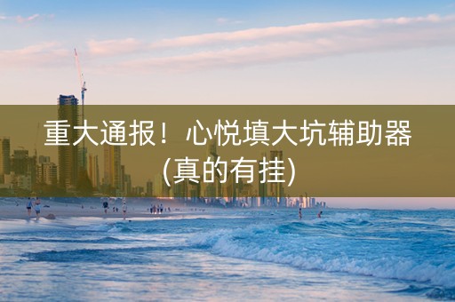 重大通报！心悦填大坑辅助器(真的有挂)