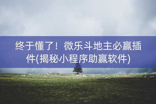 终于懂了！微乐斗地主必赢插件(揭秘小程序助赢软件)