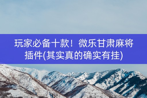 玩家必备十款！微乐甘肃麻将插件(其实真的确实有挂)