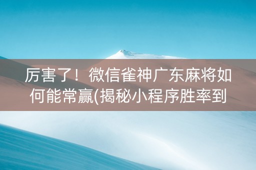 厉害了！微信雀神广东麻将如何能常赢(揭秘小程序胜率到哪调)