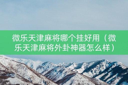微乐天津麻将哪个挂好用（微乐天津麻将外卦神器怎么样）