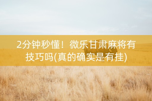 2分钟秒懂！微乐甘肃麻将有技巧吗(真的确实是有挂)