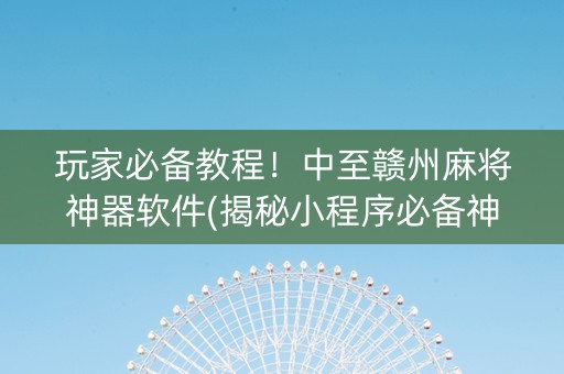 玩家必备教程！中至赣州麻将神器软件(揭秘小程序必备神器)