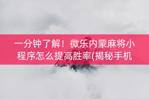 一分钟了解！微乐内蒙麻将小程序怎么提高胜率(揭秘手机上辅牌器)