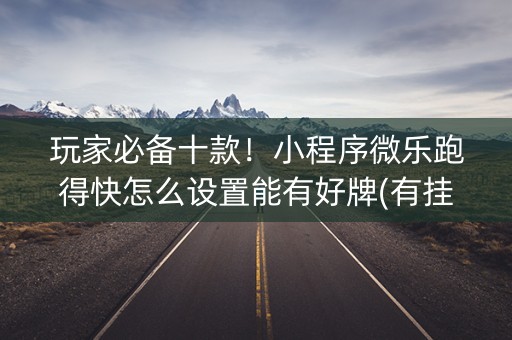 玩家必备十款！小程序微乐跑得快怎么设置能有好牌(有挂技巧辅助器)