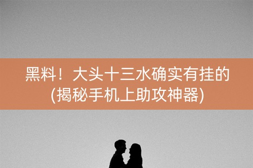 黑料！大头十三水确实有挂的(揭秘手机上助攻神器)