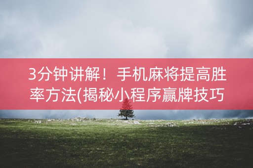 3分钟讲解！手机麻将提高胜率方法(揭秘小程序赢牌技巧)