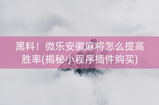 黑料！微乐安徽麻将怎么提高胜率(揭秘小程序插件购买)