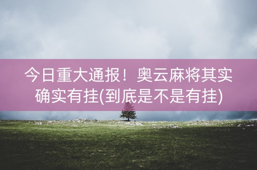 今日重大通报！奥云麻将其实确实有挂(到底是不是有挂)