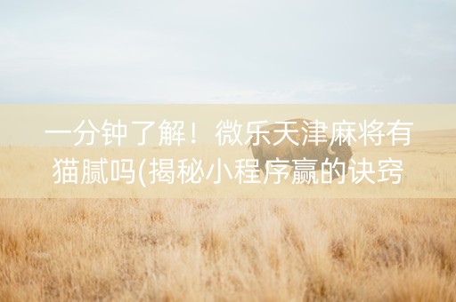 一分钟了解！微乐天津麻将有猫腻吗(揭秘小程序赢的诀窍)