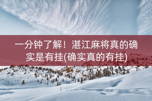 一分钟了解！湛江麻将真的确实是有挂(确实真的有挂)