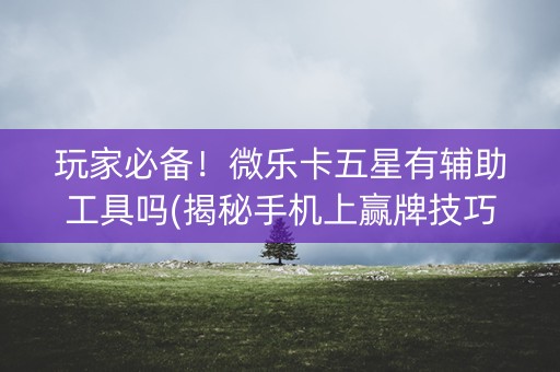 玩家必备！微乐卡五星有辅助工具吗(揭秘手机上赢牌技巧)
