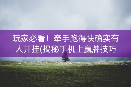 玩家必看！牵手跑得快确实有人开挂(揭秘手机上赢牌技巧)