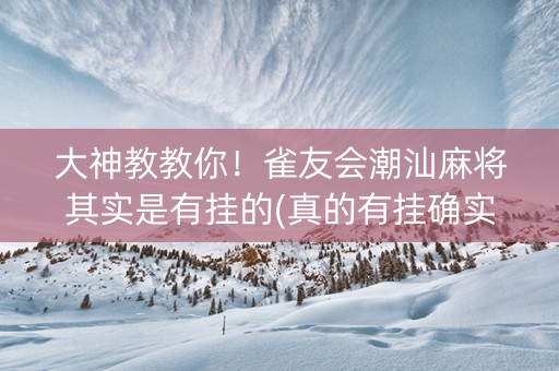大神教教你！雀友会潮汕麻将其实是有挂的(真的有挂确实有挂)