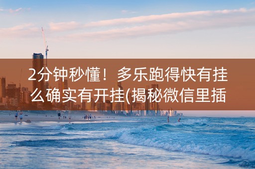 2分钟秒懂！多乐跑得快有挂么确实有开挂(揭秘微信里插件购买)