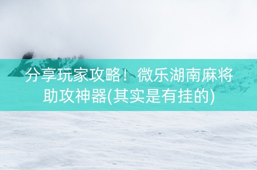 分享玩家攻略！微乐湖南麻将助攻神器(其实是有挂的)