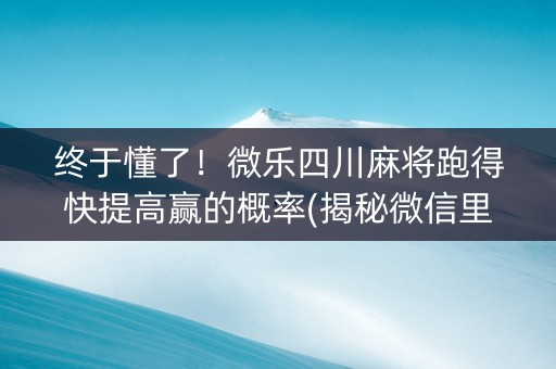终于懂了！微乐四川麻将跑得快提高赢的概率(揭秘微信里专用神器下载)