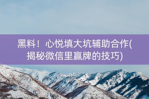 黑料！心悦填大坑辅助合作(揭秘微信里赢牌的技巧)