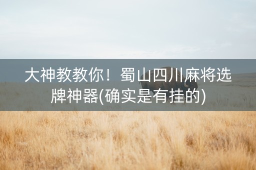 大神教教你！蜀山四川麻将选牌神器(确实是有挂的)