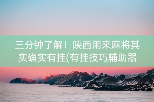 三分钟了解！陕西闲来麻将其实确实有挂(有挂技巧辅助器)