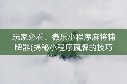 玩家必看！微乐小程序麻将辅牌器(揭秘小程序赢牌的技巧)