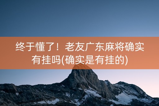 终于懂了！老友广东麻将确实有挂吗(确实是有挂的)