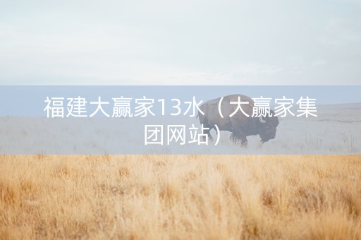 福建大赢家13水（大赢家集团网站）