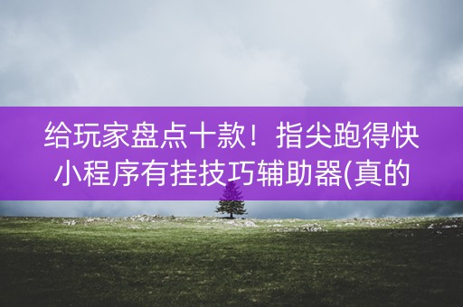 给玩家盘点十款！指尖跑得快小程序有挂技巧辅助器(真的确实是有挂)