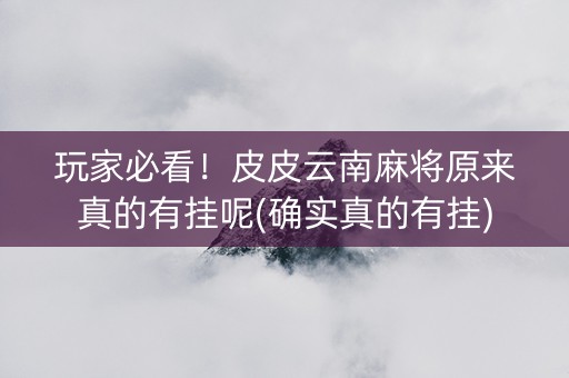 玩家必看！皮皮云南麻将原来真的有挂呢(确实真的有挂)