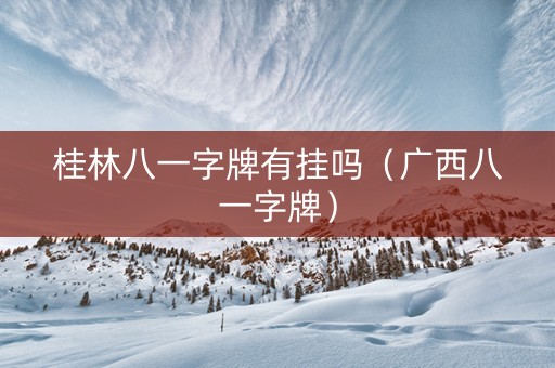 桂林八一字牌有挂吗（广西八一字牌）