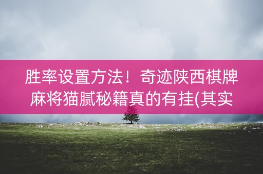 胜率设置方法！奇迹陕西棋牌麻将猫腻秘籍真的有挂(其实真的有挂)