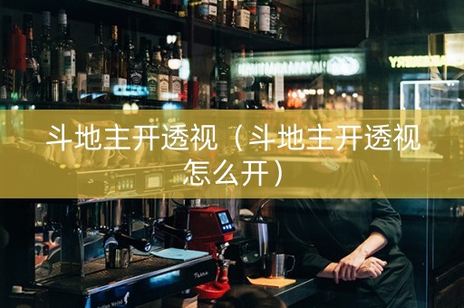 斗地主开透视（斗地主开透视怎么开）