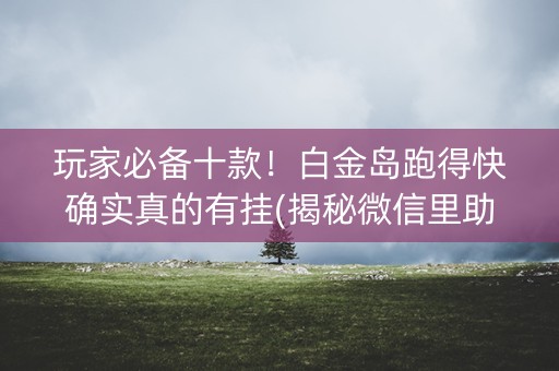 玩家必备十款！白金岛跑得快确实真的有挂(揭秘微信里助赢软件)