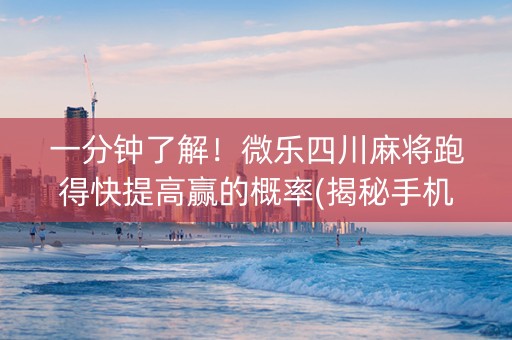 一分钟了解！微乐四川麻将跑得快提高赢的概率(揭秘手机上助手软件)