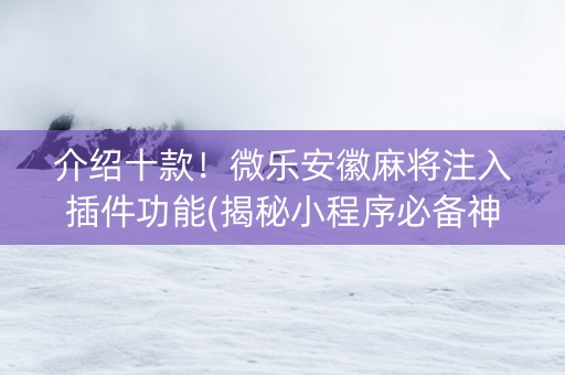 介绍十款！微乐安徽麻将注入插件功能(揭秘小程序必备神器)
