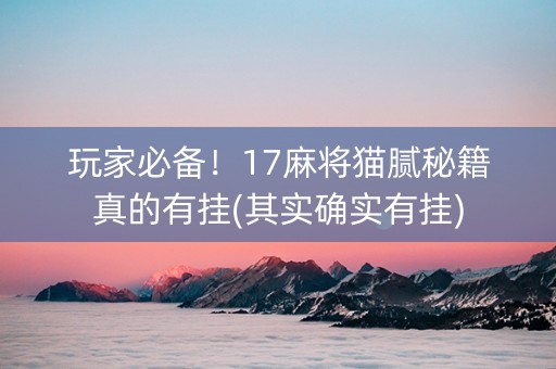 玩家必备！17麻将猫腻秘籍真的有挂(其实确实有挂)