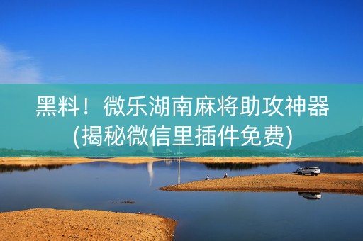 黑料！微乐湖南麻将助攻神器(揭秘微信里插件免费)