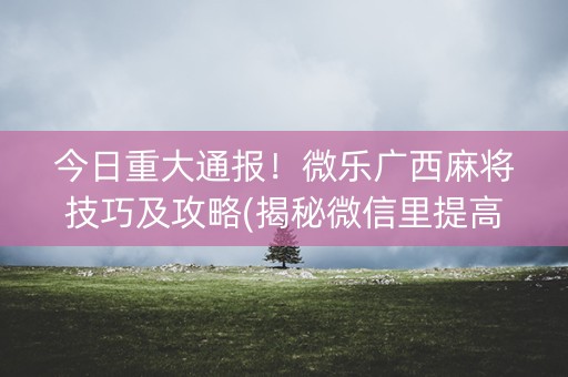 今日重大通报！微乐广西麻将技巧及攻略(揭秘微信里提高胜率)