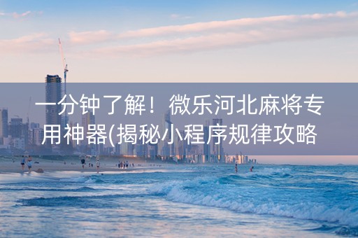 一分钟了解！微乐河北麻将专用神器(揭秘小程序规律攻略)