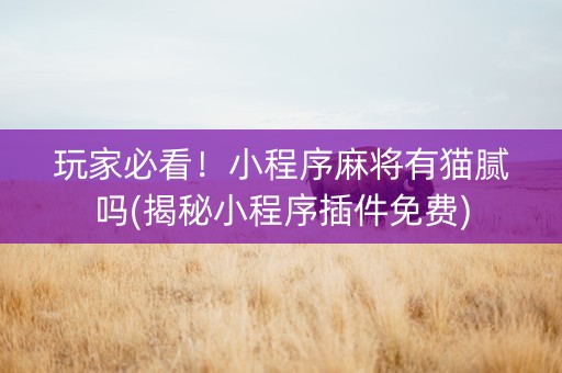 玩家必看！小程序麻将有猫腻吗(揭秘小程序插件免费)