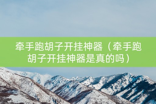 牵手跑胡子开挂神器（牵手跑胡子开挂神器是真的吗）